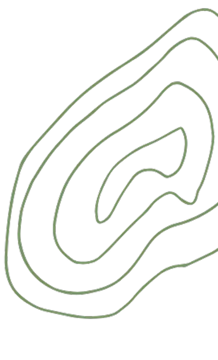 Decorative squiggle